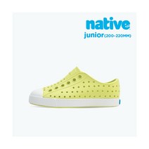 [NATIVE] 네이티브 제퍼슨 주니어_셀러리그린
