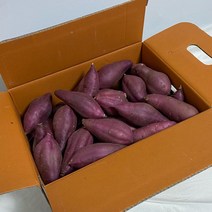 해남 꿀고구마 호박고구마 꿀밤고구마 3kg 5kg 10kg, 긴중