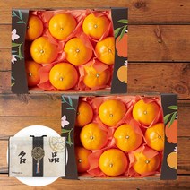 제주 천혜향 선물세트, 2.6kg 6-9과 x 2