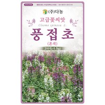 설악초 20립 - 초설초 야광초 야생화 씨앗 꽃씨 씨 꽃씨앗 야생화씨앗 고급꽃씨 고급꽃씨앗, 20_다농_풍접초(혼색)(0.5g)