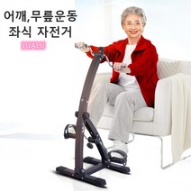 좌식 재활 자전거 실내 재활용 사이클 실내용 무릎 하체 운동 헬스 싸이클 Esyuse 증정, 기본형