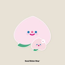 [더 리코더 팩토리] 피치피치