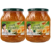 담터 아가베생강레몬 770g + 아가베생강레몬 770g