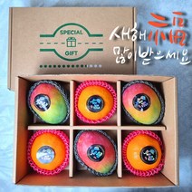 23년 프리미엄 과일 설 선물 세트 망고 애플망고 레드향 혼합세트, 레드향 3과 + 애플망고 3과 세트