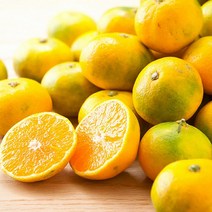 [제주직송] 새콤달콤 노지 감귤 10kg 소과2S, 단품