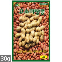 땅콩 씨앗 30g - 씨 땅콩씨앗 땅콩씨 콩씨앗 콩씨 견과류 주말농장 텃밭, 01_고소미땅콩(30g)