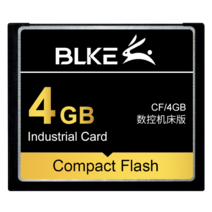 BLKE CF 카드 128M 256M 512MB 1G 2GB 4G 컴팩트 플래시 메모리, 06 4GB