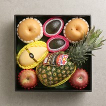 브랜드없음 [우리가락]프리미엄 제철모둠과일1호 8과 (사과.배.아보카도.애플망고.파인애플), 단품없음