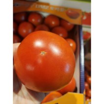 초신선 완숙토마토 토마토 가락시장 새벽경매 공수, (특1등급)완숙토마토 5kg (2L-2S)