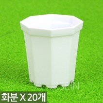 팔각 미니 플라스틱 화분 그레이 X 20개 - 플분 다육 어린이 식목일 행사 어린이집 유치원 선인장 식물 모종 삽목 인테리어 홈 가드닝