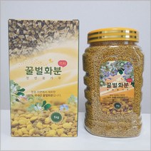 숙이네 바른벌꿀 국내산 100% 벌화분 국산 비폴렌 벌꿀화분 건조화분 생화분 먹는 천연 꽃가루, 500g, 1개