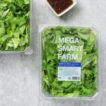 [메가마트]유러피안 믹스 샐러드 130g/팩, 1개