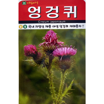 엉겅퀴씨앗100립 엉겅퀴씨앗