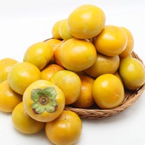창원 북면 단감 5kg 24-26과내, 단품