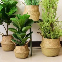 아워리빙 부들풀 너트 라탄 화분바구니, 라탄바구니-25호