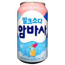 암바사 345ml, 48개, 355ml
