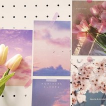 감성 컬러 엽서 모음 핑크톤, 단품