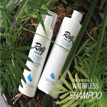 환자머리감기 워터리스 물없이 머리 감기 샴푸, 레이펄스 워터리스 샴푸 500ml (리필)