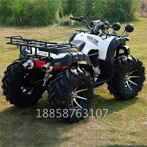 소형 륜 사륜 오토바이 바이크 산악 사발이 전기 네발 발 농업용 다목적 오프로드 전기 버기카 농촌 큰 황소 륜 오프로드 륜 구동 오토바이 전기 대형 및 전, 색상 사용자 정의