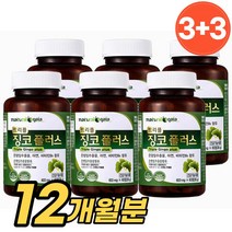 식약처 인증 기억력 영양제 트리플 징코 플러스 은행잎 추출물 혈행 개선 뇌 두뇌 건강 영양제, 6병, 60정