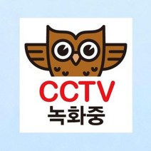 생활스티커 부엉이 CCTV촬영중(칼라) 칼라
