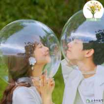 아크릴 투명 볼 원형 촬영소품 컨셉 오브제 [고수의쇼핑], 2호 35x22