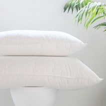 아트박스/래몽인터내셔날 호텔베개 50x70 덕다운 목이편한 배게솜 850g