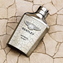 벤틀리향수 벤틀리 인피니티 러쉬 EDT, 100ml