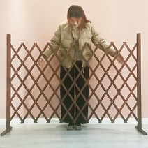 정원 자바라 울타리 접이식 스탠드형 매립형 갈색 흰색, B-1 (160x50)