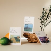 유즈 퍼퓸 샤쉐, 옐로우 블루밍 퍼퓸 샤쉐