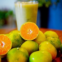 제주 하우스귤 감귤 조생귤 1kg 2kg 3kg 5kg, 소과(2S-S), 1개