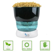 국내산 웰빙 유기농 새싹 자동재배기 콩나물시루 콩나물 자동재배기 청시루SC-9000