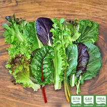 [유기농모듬쌈채소1kg] 농가살리기 모듬 쌈 채소 야채 샐러드 1kg, 모듬 채소 1kg