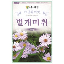 매발톱꽃 400립 - 야생화 씨앗 꽃씨 씨 꽃씨앗 매발톱꽃씨앗 매발톱꽃씨 야생화씨 야생화씨앗 꽃 매발톱, 23_다농_벌개미취(300립)