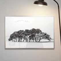 흑백소나무 가로 중형메탈액자.꾸밈, 그레이／3타입
