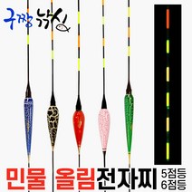 구짱낚시- 민물전자찌-6점등- 민물올림전자찌, 1번-3호(2.4g), 1개