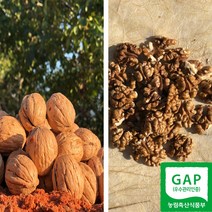 국산 햇 호두 피호두 깐호두 산지직송 GAP인증 100g 500g 1kg, 피호두_소_500g