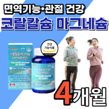 코랄칼슘 마그네슘 아연 비타민d 쥐 나는데 만성피로 근육 관절 눈 손 팔 다리 떨림 고흡수마그네슘 영양제 남성 여성 갱년기 어르신 학생 칼슘 마그네슘제 마그네슝 마스네슘 정 사은품, 4개월 분, 4개