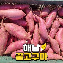 해남 세척 베니하루카 꿀고구마 3kg 5kg 10kg, 12. 꿀고구마 10kg 대(300g이상)