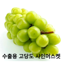 국내산 프리미엄 샤인머스켓 1.5kg 2kg 수출용 망고포도 꿀포도 보장된 고당도 최상품 포도 제철과일 청포도, 특등급 4kg 선물세트