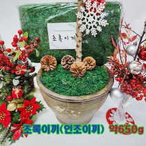 화분(초록이끼)인조이끼 (약650g 35x13x20cm) 1개/난초 꽃대 보호용/화분 데코레이션/조화소품용/조경용
