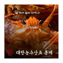선주직송 연지 홍게 박달 대게 생물 제철 구룡포 3kg 당일조업 자숙 영덕, 01 연지 프리미엄 홍게 5마리
