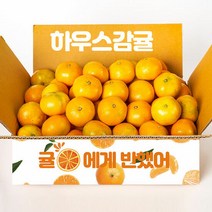 제주직송 올탑농원 하우스 감귤 2.5kg 꼬마소과, 단품