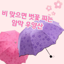 비맞으면 벗꽃 피는 특수코팅 양산 겸용 3단 우산 우양산 양우산