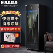 지능형 의류 살균기 건조기 스테일러 살균 원룸소독기, 80L 건조  자외선 건조 및 속옷 살균 소독