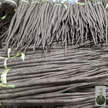 새벽들 우엉 국내산 특상품 햇 생우엉 ( 반찬용 ), 1box, 1kg