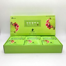 제주 백년초 선인장 비누 100g x 3개입 집들이선물 결혼답례품 천연비누, 3개