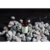 약선산방 순수 편백오일 새집증후군 제거 히노끼오일, 10ml