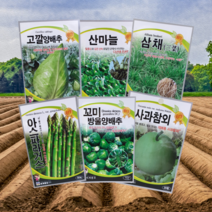 세계 산마늘 명이나물 사과참외 고깔 미니 양배추 궁채나물 밀크씨슬 엉겅퀴 씨 씨앗 종자, 아스파라거스