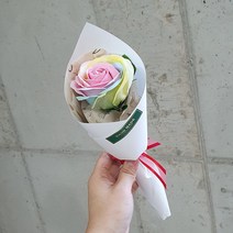 바나나스푼 무지개장미 한송이 파스텔 빅로즈, 화이트